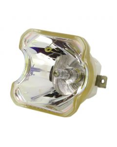 Originele Ushio (NSHA) Losse Lamp (#OB0108)