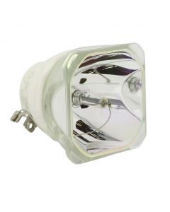 Originele Ushio (NSHA) Losse Lamp (#OB0287)