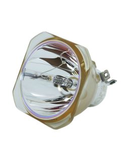 Originele Ushio (NSHA) Losse Lamp (#OB0415)