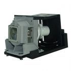 PrimeLamp Module TLPLW15, 01-00247 / TLPLSB20 (#GM0135)