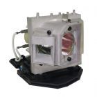 PrimeLamp Module BL-FP240B / SP.8QJ01GC01, BL-FP240C / SP.8TU01GC01, 331-9461 725-10366 2X7T3, MC.JG511.001, MC.JF711.001, MC.JGG11.001 (#GMHQ0015)