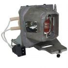 PrimeLamp Module BL-FP220B / SP.78B01GC01 (GMHQ0022)