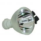 Originele Phoenix (SHP) Losse Lamp (#OB0010)
