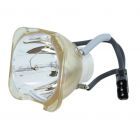 Originele Ushio (NSHA) Losse Lamp (#OB0091)