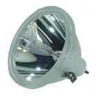 Originele Philips (UHP) Losse Lamp (#OB0146)