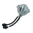 Originele Phoenix (SHP) Losse Lamp (#OB0162)