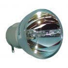 Originele Osram (P-VIP) Losse Lamp (#OB0201)