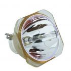 Originele Ushio (NSHA) Losse Lamp (#OB0234)