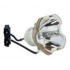 Originele Ushio (NSH) Losse Lamp (#OB0250)
