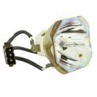 Originele Ushio (NSHA) Losse Lamp (#OB0252)