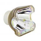 Originele Ushio (NSHA) Losse Lamp (#OB0423)