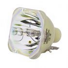 Originele Philips (UHP) Losse Lamp (#OB0427)