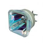 Originele Philips (UHP) Losse Lamp (#OB0428)