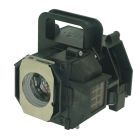 QL0075_2.jpg