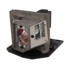 QualityLamp Module NP10LP 6002407, TLPLV9, EC.J5600.001, SP-LAMP-037 (#QL0280)