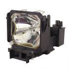 QualityLamp Module LMP-P260 (#QL0292)