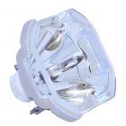 Originele Ushio (NSHA) Losse Lamp (#OB0006)