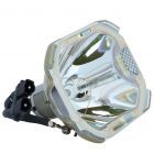 Originele Phoenix (SHP) Losse Lamp (#OB0026)