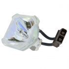 Originele Phoenix (SHP) Losse Lamp (#OB0080)