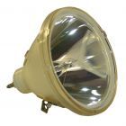 Originele Philips (UHP) Losse Lamp (#OB0147)