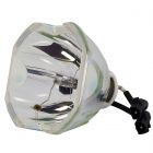 Originele Ushio (NSH) Losse Lamp (#OB0432)